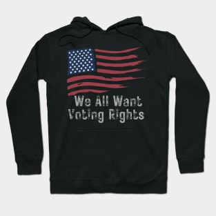 We All Want Voting Rights Hoodie